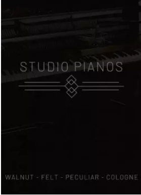 工作室钢琴Cinematique Instruments Studio Pianos KONTAKT-未来音频站WLYPZ.COM